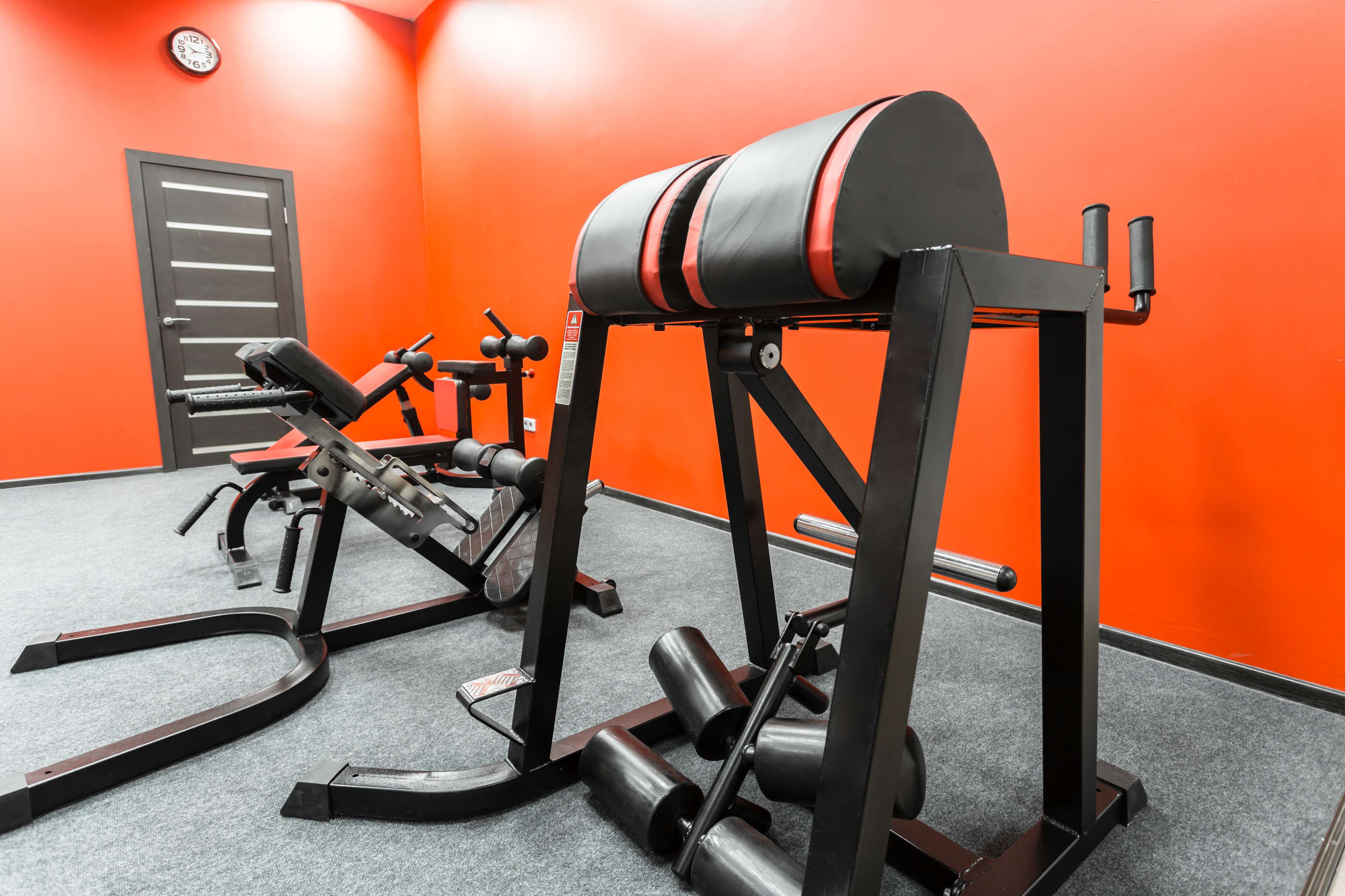 Gym equipment lineup