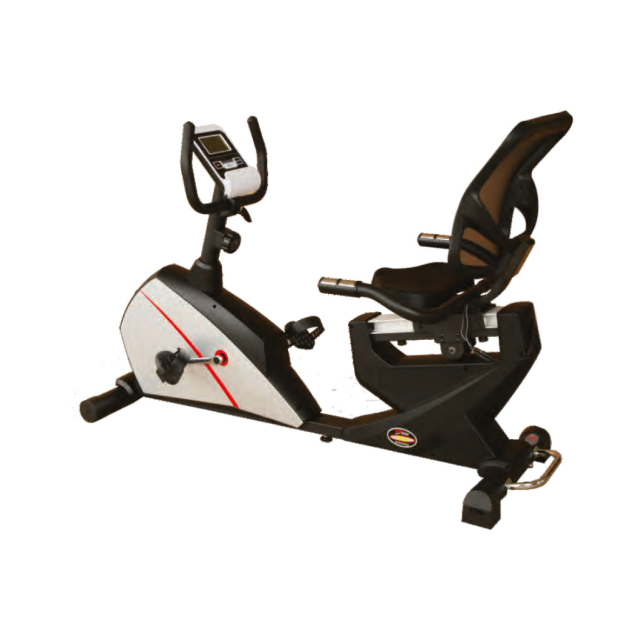 Deluxe Magnetic Recumbent Bike Fitway R 3