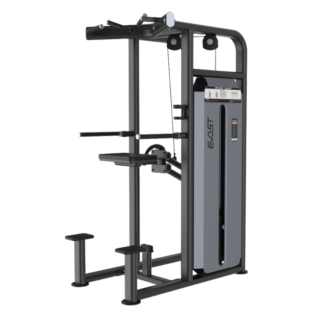 U IWON Series DIP / CHIN ASSIST U 1009