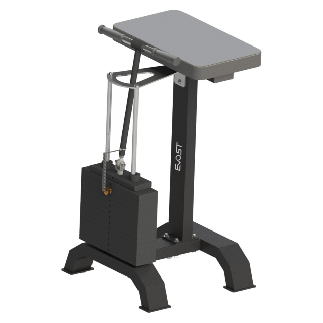 Plate Loaded D Series WRIST CURL B 2059