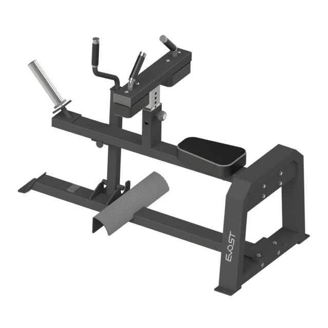 Plate Loaded D Series SEATED CALF B 2062